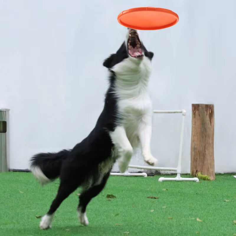 Silicone Interactive Flying Disc Toy for Dogs and Cats - Durable Chew and Training Aid