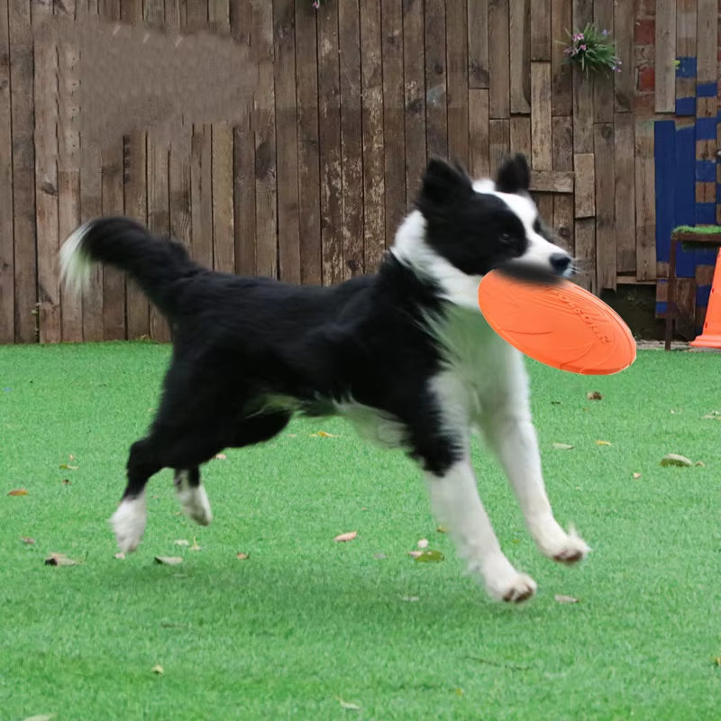 Silicone Interactive Flying Disc Toy for Dogs and Cats - Durable Chew and Training Aid
