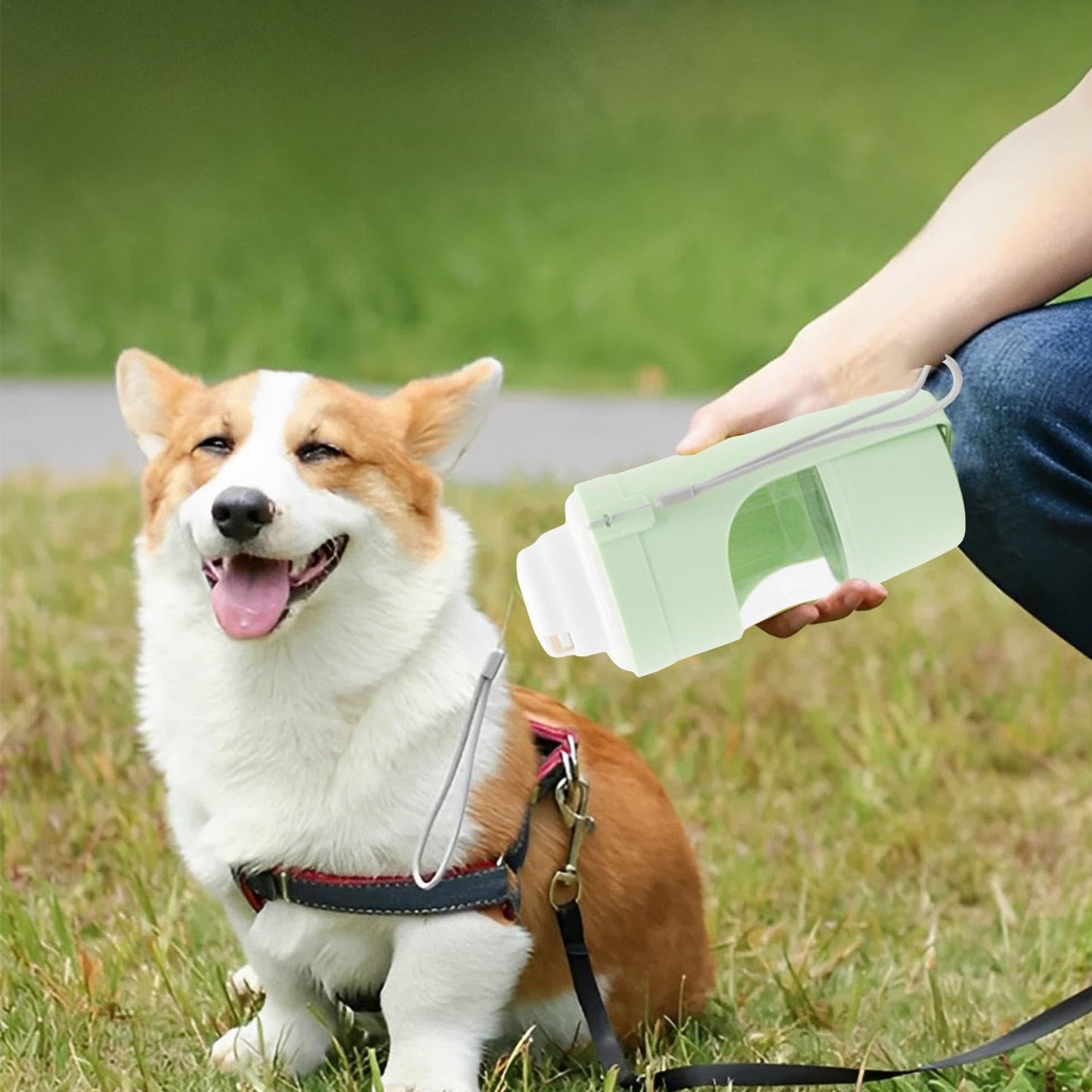 Zelpivo™ 2-in-1 Travel Water Bottle & Food Container for Dogs & Cats