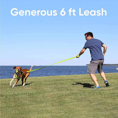 Durable 6 Ft Green Nylon Dog Leash with Custom Name and Phone Embroidery for Medium and Large Breeds