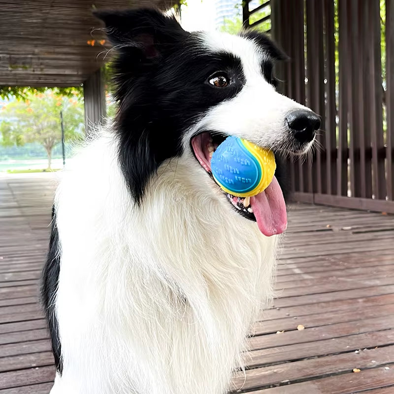 Interactive Soft TPR Dog Toys for Teeth Cleaning and Bite Resistance - Squeaky Ball Toy