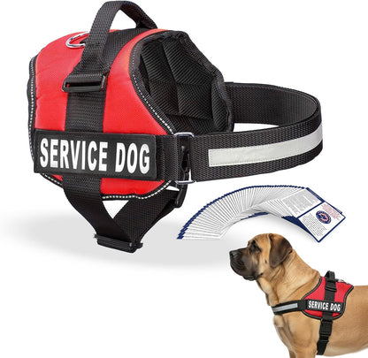 Service Dog Vest Harness - Adjustable and Durable with Reflective Straps, Removable Patches, 50 ADA Cards, Handle, D-Ring, Ideal for Travel and Daily Use (Bright Red, XL 30"-39")