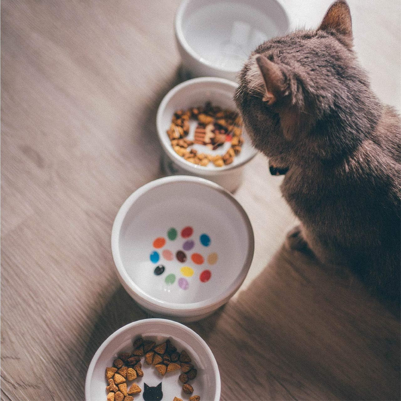 Necoichi Elevated Ceramic Cat Food Bowl – Ergonomic Design for Whisker and Neck Comfort, Dishwasher and Microwave Safe, Non-Slip and Anti-Vomiting (Cupcake, Regular)