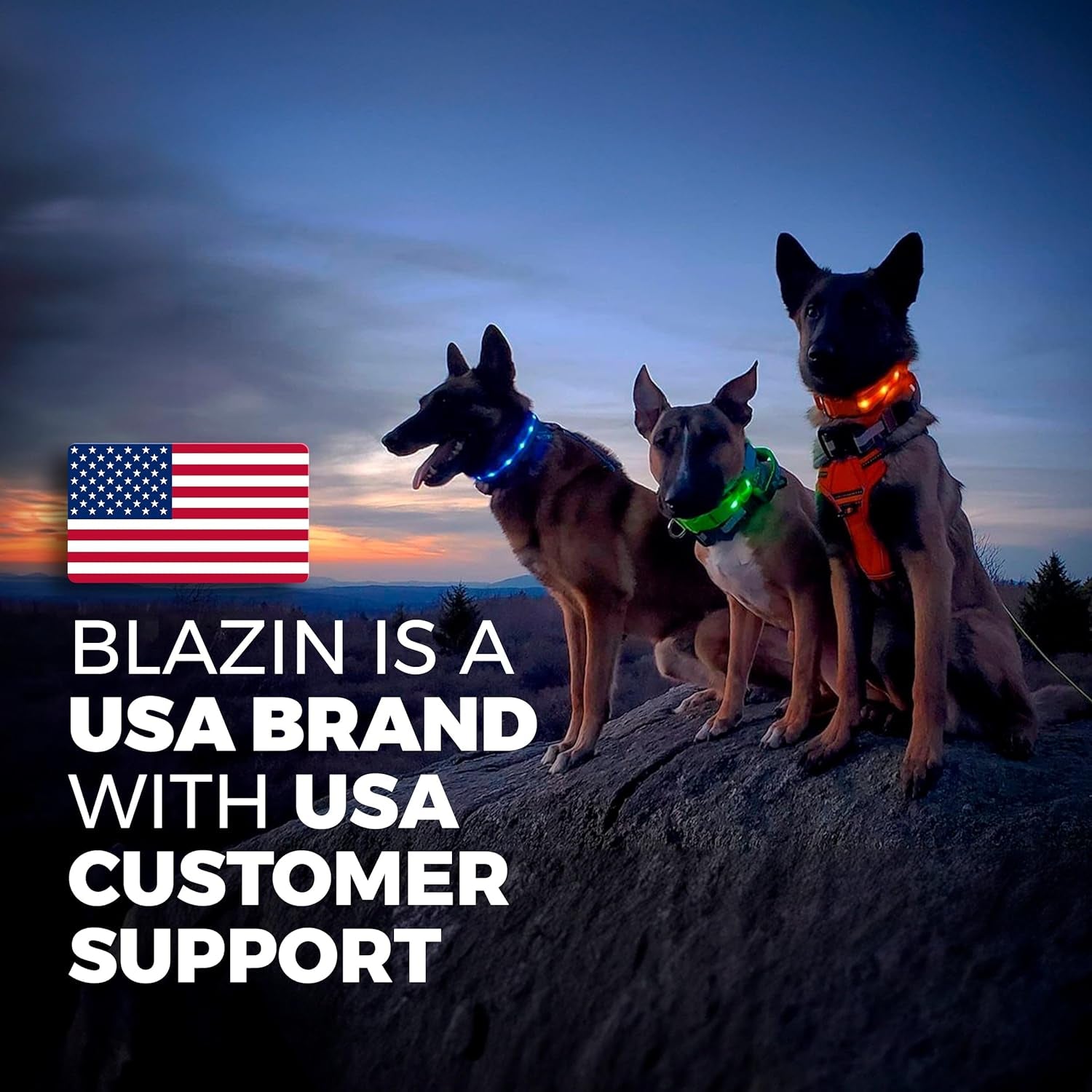 Zelpivo™ LED Light-Up Dog Collar – USB Rechargeable & Waterproof
