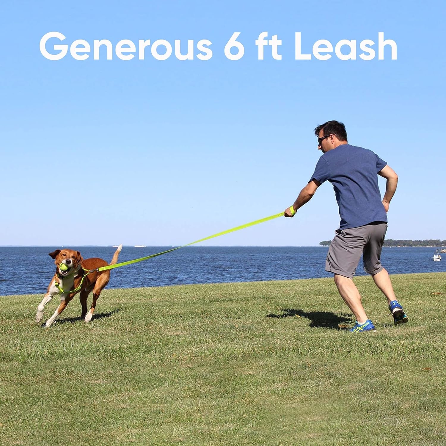 Durable 6 Ft Reflective Orange Dog Leash for Medium and Large Dogs and Puppies