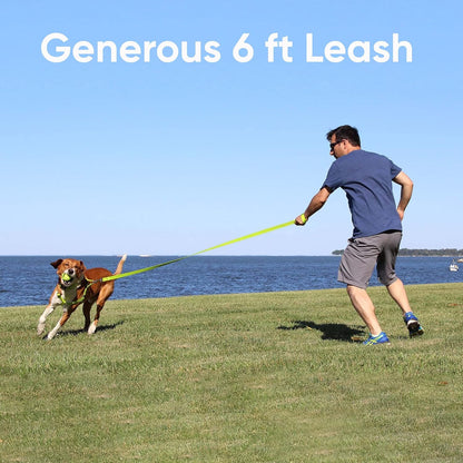 Durable 6 Ft Reflective Orange Dog Leash for Medium and Large Dogs and Puppies