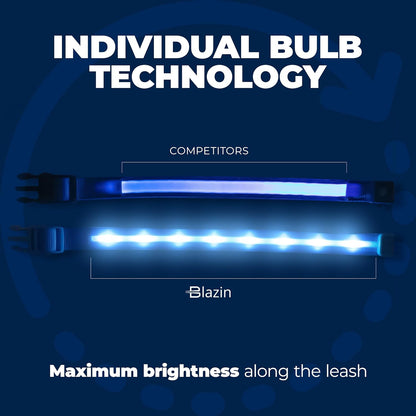 Zelpivo™ LED Light-Up Dog Collar – USB Rechargeable & Waterproof