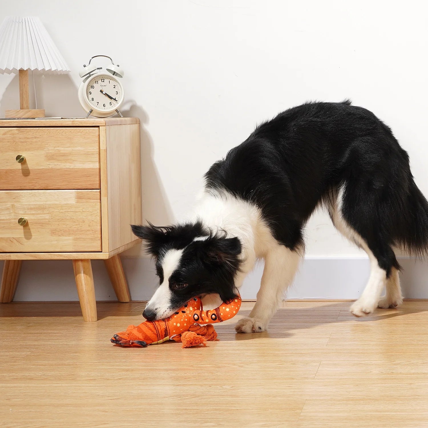 Premium Plush Dog Chew Toy - Squeaky Lobster with Crinkle Paper for Puppies and Dogs of All Sizes