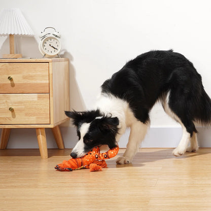 Premium Plush Dog Chew Toy - Squeaky Lobster with Crinkle Paper for Puppies and Dogs of All Sizes