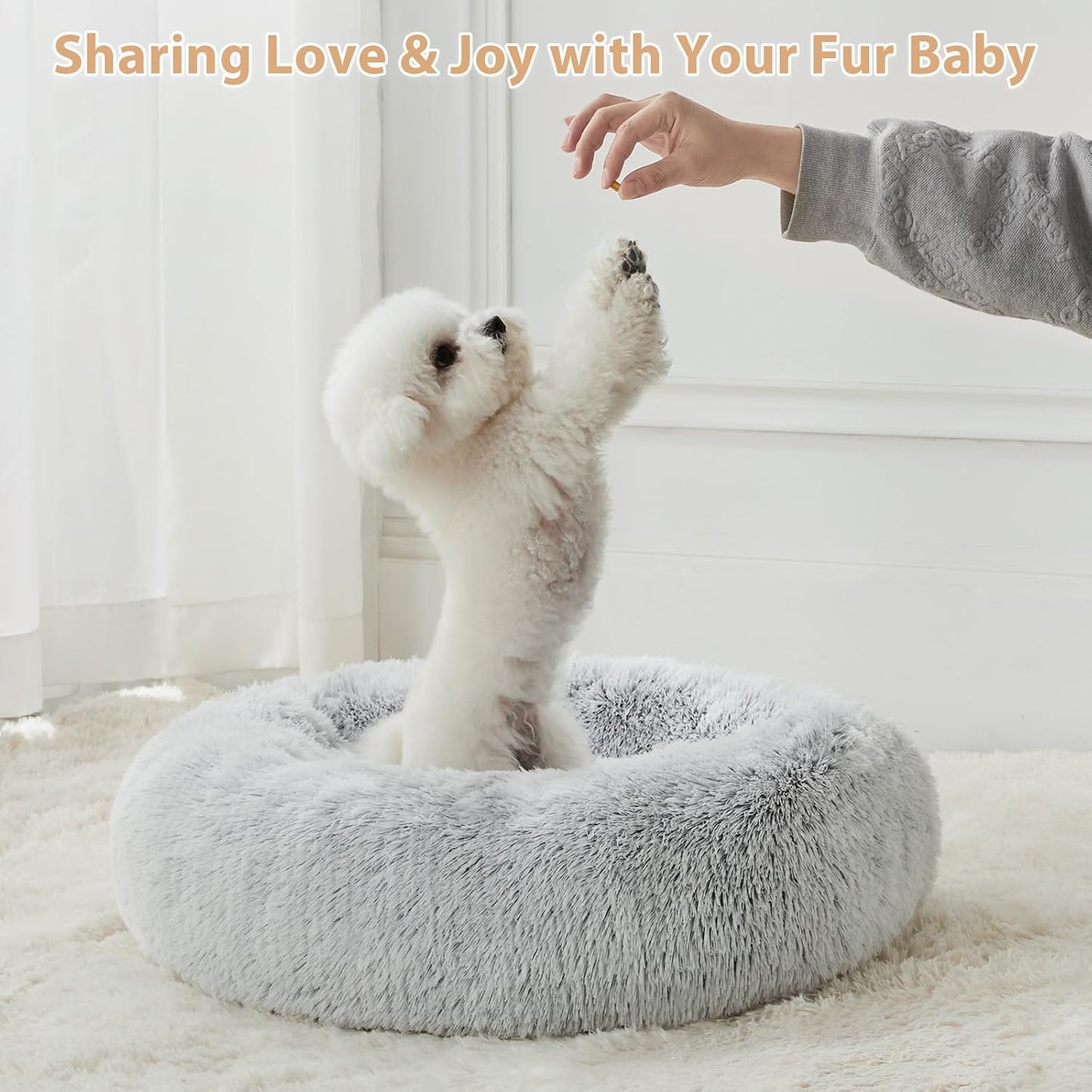Round Calming Small Dog and Cat Bed for Comfortable Sleep, Washable Plush Puppy Bed with Faux Fur, Anti-Anxiety Donut Cuddler (24 x 24 x 8 Inch, Light Grey)