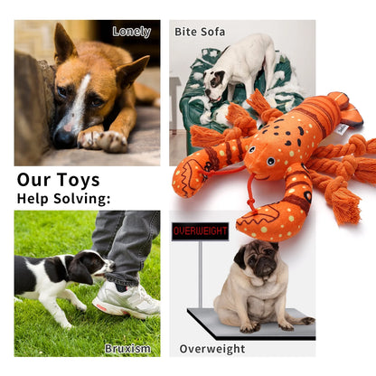 Premium Plush Dog Chew Toy - Squeaky Lobster with Crinkle Paper for Puppies and Dogs of All Sizes
