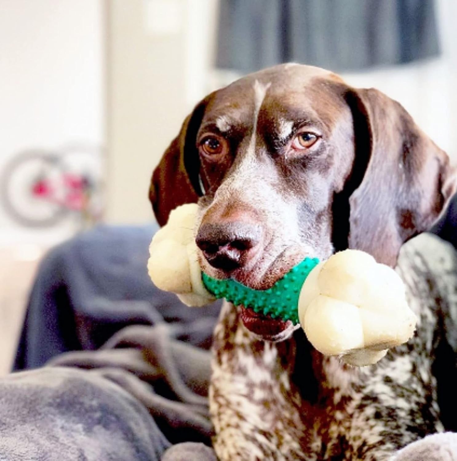 Power Chew Double Action Barbell Bone Dog Chew Toy - X-Large | Durable Chew Toy for Large Breeds 50+ lbs, Features Teeth-Cleaning Textures, Long-Lasting, Reduces Destructive Chewing