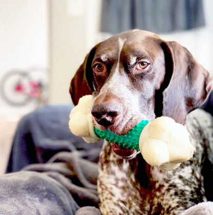 Power Chew Double Action Barbell Bone Dog Chew Toy - X-Large | Durable Chew Toy for Large Breeds 50+ lbs, Features Teeth-Cleaning Textures, Long-Lasting, Reduces Destructive Chewing