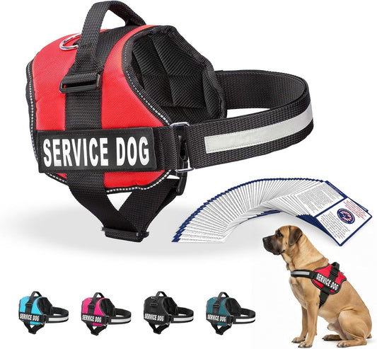 Service Dog Vest Harness - Adjustable and Durable with Reflective Straps, Removable Patches, 50 ADA Cards, Handle, D-Ring, Ideal for Travel and Daily Use (Bright Red, XL 30"-39")