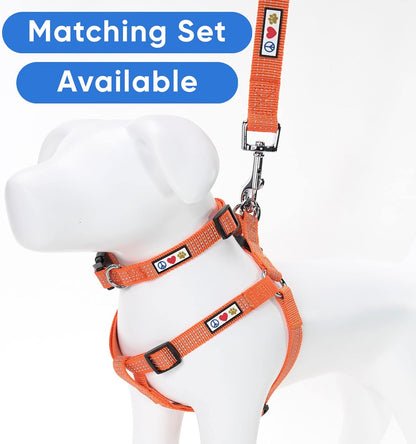 Durable 6 Ft Reflective Orange Dog Leash for Medium and Large Dogs and Puppies
