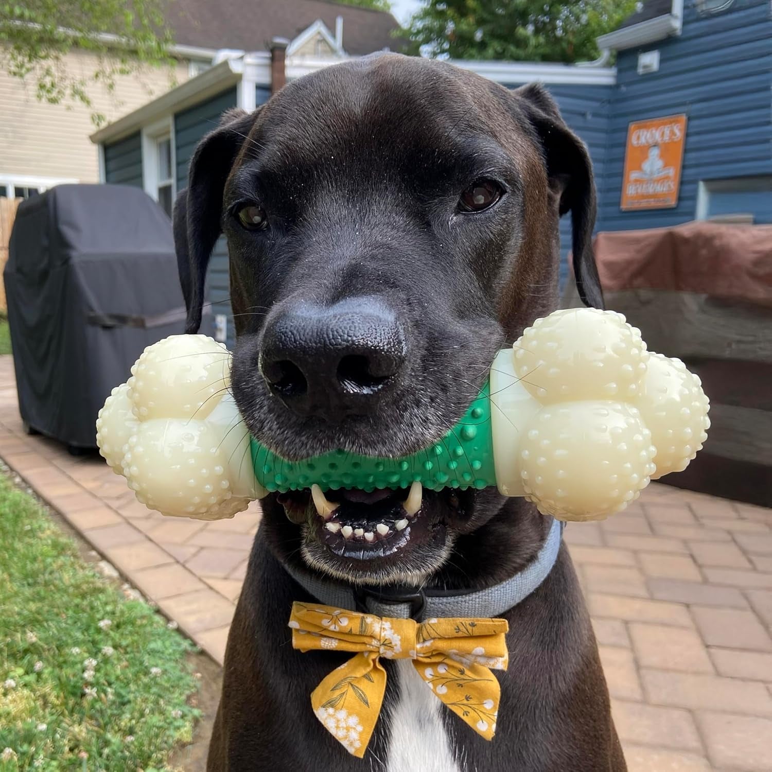Power Chew Double Action Barbell Bone Dog Chew Toy - X-Large | Durable Chew Toy for Large Breeds 50+ lbs, Features Teeth-Cleaning Textures, Long-Lasting, Reduces Destructive Chewing