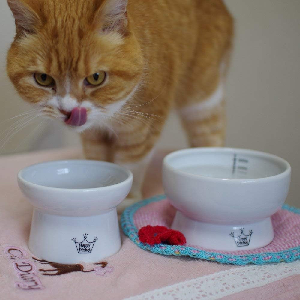 Necoichi Elevated Ceramic Cat Food Bowl – Ergonomic Design for Whisker and Neck Comfort, Dishwasher and Microwave Safe, Non-Slip and Anti-Vomiting (Cupcake, Regular)
