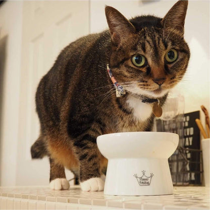 Necoichi Elevated Ceramic Cat Food Bowl – Ergonomic Design for Whisker and Neck Comfort, Dishwasher and Microwave Safe, Non-Slip and Anti-Vomiting (Cupcake, Regular)