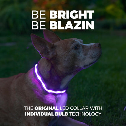 Zelpivo™ LED Light-Up Dog Collar – USB Rechargeable & Waterproof