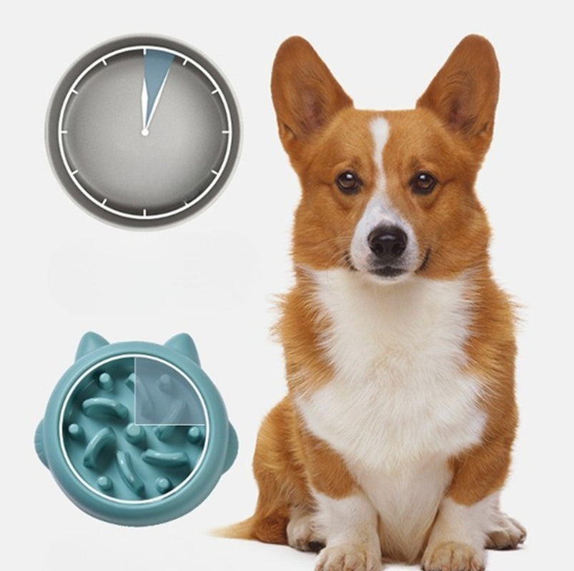 Zelpivo™ Slow Feeder Bowl – Healthy Eating for Dogs & Cats